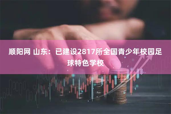顺阳网 山东：已建设2817所全国青少年校园足球特色学校