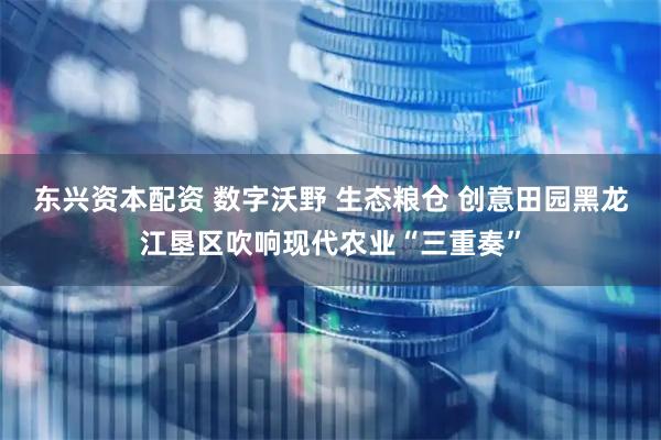 东兴资本配资 数字沃野 生态粮仓 创意田园黑龙江垦区吹响现代农业“三重奏”