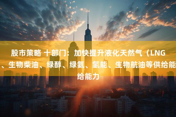 股市策略 十部门：加快提升液化天然气（LNG）、生物柴油、绿醇、绿氨、氢能、生物航油等供给能力