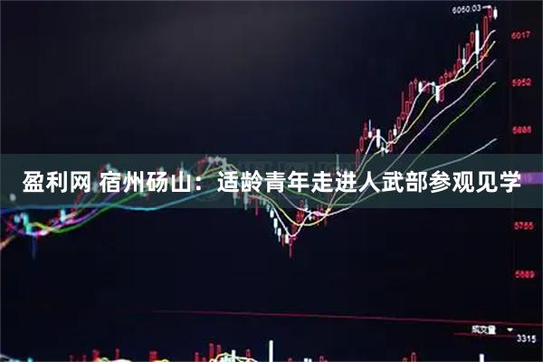 盈利网 宿州砀山：适龄青年走进人武部参观见学